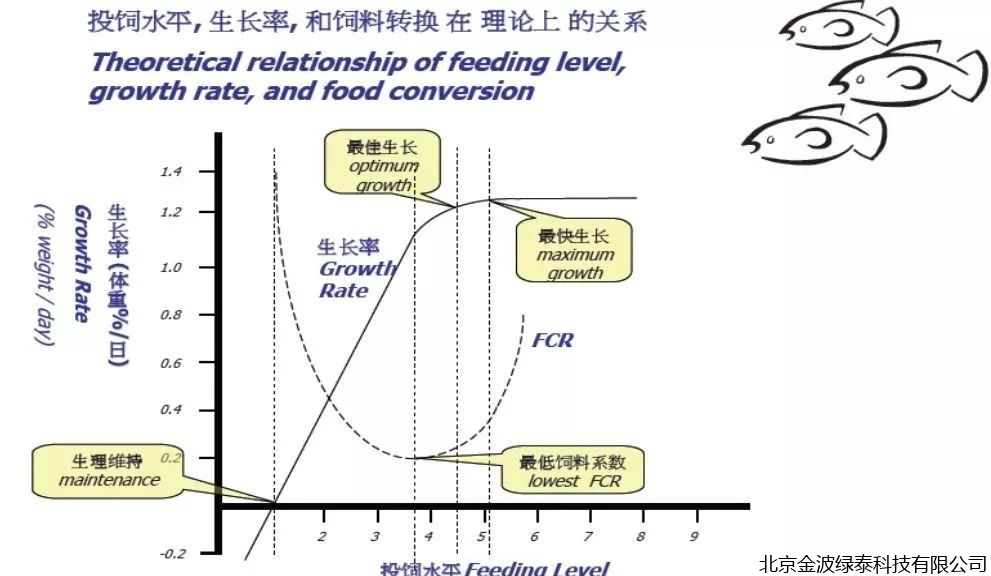 小肽蛋白粉