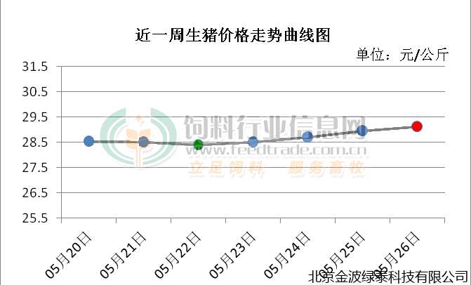 小肽蛋白粉