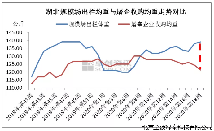 小肽蛋白粉