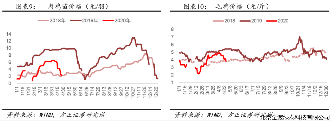 小肽蛋白粉